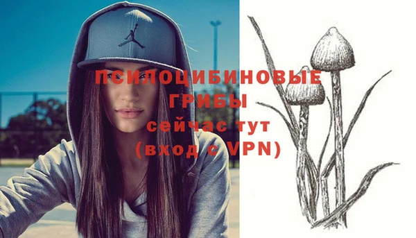 дурь Алексин