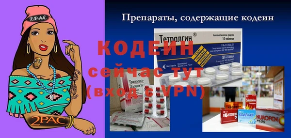 дурь Алексин
