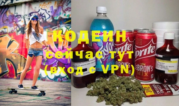 дурь Алексин