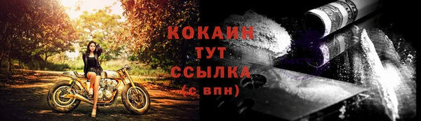 соль ск Алексеевка